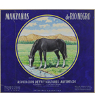 Publicidad - Manzana de Rio Negro